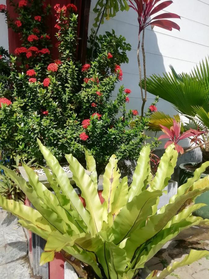 Rainbow Beach Hotel Hikkaduwa Luaran gambar